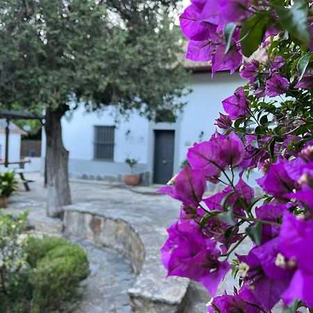 Complejo Rural Huerta Grande Guest House อัลเฮซิราส ภายนอก รูปภาพ