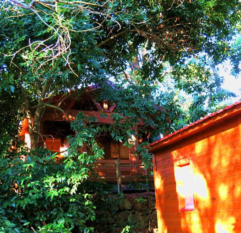 Complejo Rural Huerta Grande Guest House อัลเฮซิราส ภายนอก รูปภาพ