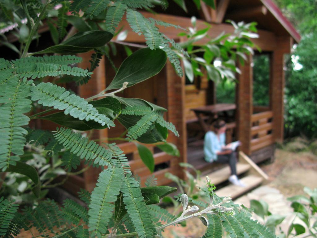 Complejo Rural Huerta Grande Guest House อัลเฮซิราส ห้อง รูปภาพ